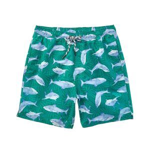 Snapper Rock Mens  Reef Shark Swim Short, Green